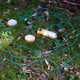 Illustration for article titled BioLites NanoGrid Is a Lantern, Battery, and Flashlight All In One